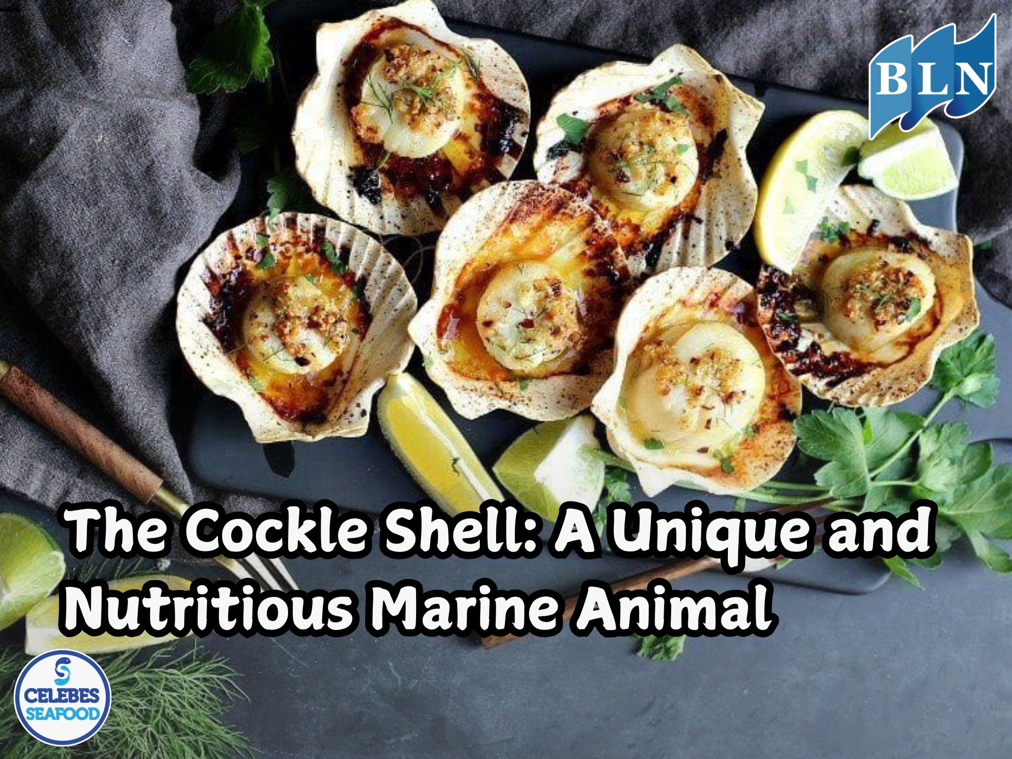 The Cockle Shell: A Unique and Nutritious Marine Animal